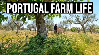 Beautiful, Simple Living in Portugal | PORTUGAL FARM LIFE