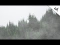 How to add Fog Effect to Photos using GIMP