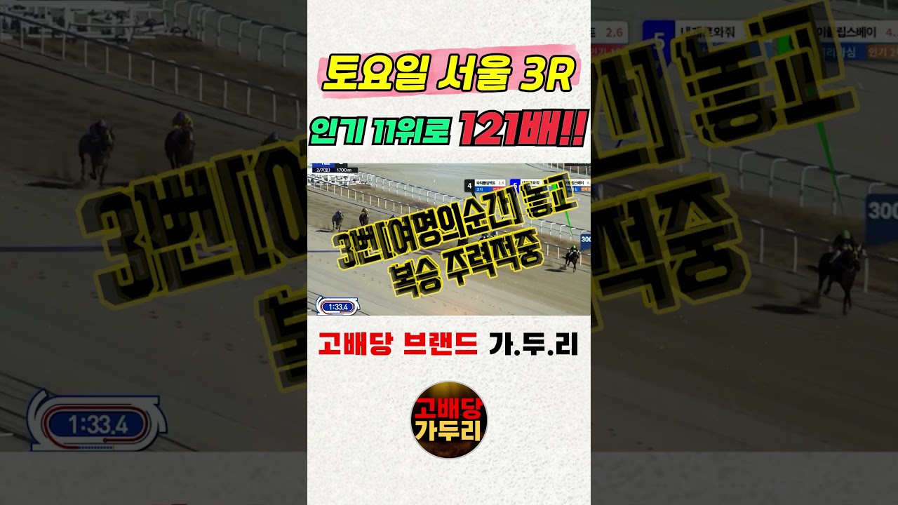 고배당 마필이 궁금해???🎯경마🐎 경마예상🟢 경마 고배당🟢 서울경마🟡부산경마🔵제주 경마🎯고배당 가두리🐎 경마 고배당 적중