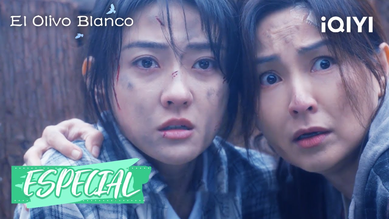 😰Li Zan y Song Ran vuelven a encontrarse con una explosión | El Olivo Blanco10-12 | iQIYI Spanish