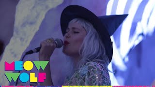 Meow Wolf Presents Tacocat – ‘You Can’t Fire Me, I Quit’ | Meow Wolf