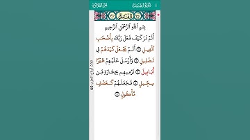 surah AlFil Mohamed Siddik Al Minshawi 105 I سورة الفيل