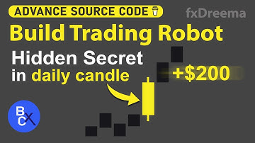 How to make a trading bot mt5 - Hidden secret in daily candle That Predicts the Market & Wins Trades