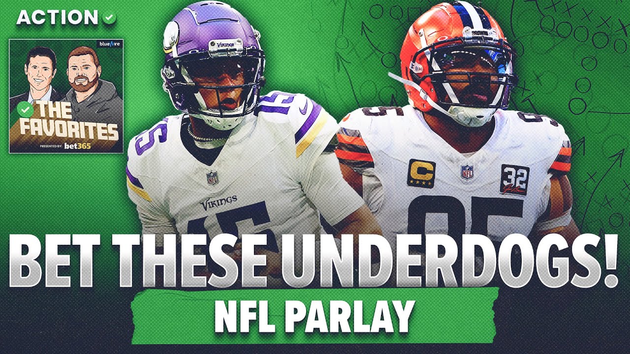 Bet These 5 UNDERDOGS In NFL Week 10! NFL Best Bets The Favorites NFL