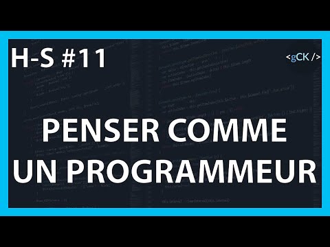 Vidéo: Que Donner à Un Programmeur Pour La Nouvelle Année