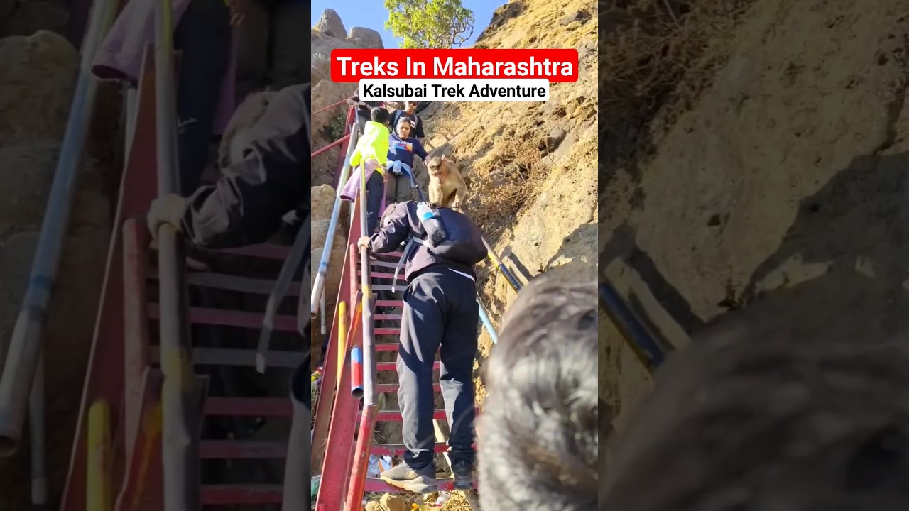 Trekking In Maharashtra || Kalsubai Trek Adventure ✌️ 