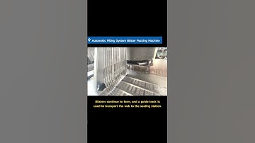 Automatic Filling System Blister Packing Machine