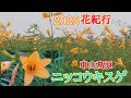 2025 花紀行 ニッコウキスゲ 車山高原 車山肩 霧ヶ峰 Japan 絶景 ニッコウキスゲ 車山 霧ヶ峰 花見 高原 連休 長野 ビーナスライン 湿原 旅行 Travel 2025 花紀行 ニッコウキスゲ 車山高原 車山肩 霧ヶ峰 Japan 絶景 ニッコウキスゲ 車山 霧ヶ峰 花見 高原 連休 長野 ビーナスライン 湿原 旅行 Travel