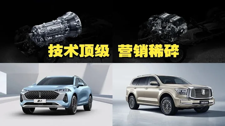 “要啥有啥”的长城汽车，为啥就是不开窍？ - 天天要闻