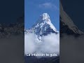 Ansiedad o intuición