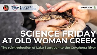 Science Friday with Eric Weimer