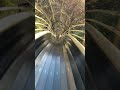超最速滑り台!!! #滑り台 #公園 #神奈川県 #shorts #slide #park