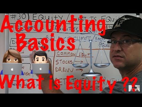 Accounting for Beginners #30 / Equity / What is Equity / Accounting 101 / Balance Sheet