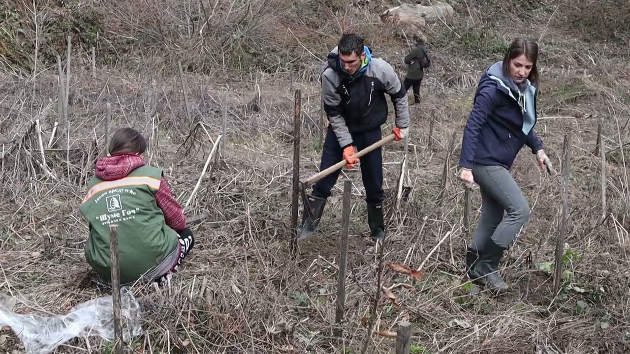 PRILOG VRT - NA CIGANOVCU ZASAĐENO 200 SADNICA