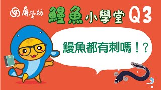 【鰻魚小學堂】Q3！鰻魚都有刺嗎？｜屏榮坊 