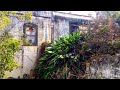 CASA ABANDONADA con SORPRENDENTES COSAS en su INTERIOR | Estancias INEXPLORADAS - Sitios Abandonados