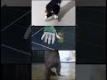 Step into the world of motion capture with Apple Arts Studios!