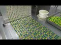 DPH series Roller type high speed ALU/PVC blister packing machine