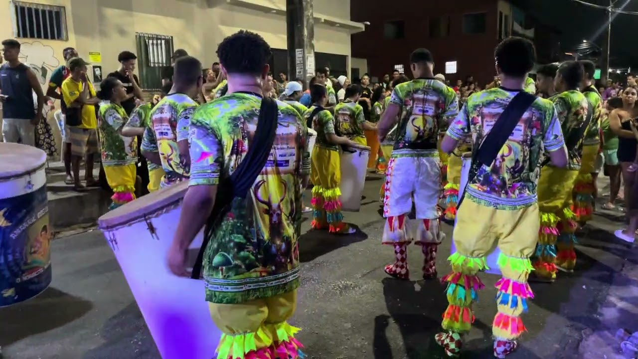 Os Curingas samba 2026