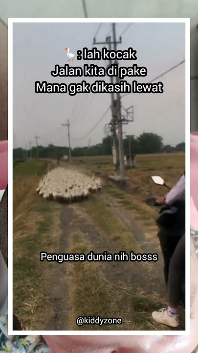 minggir Napa mbak #dj #shortvideo #funny #fypviralシ #memes #imut #cat #update #ngakak #kocak #short