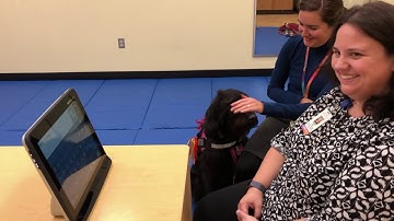 October is AAC Awareness Month!