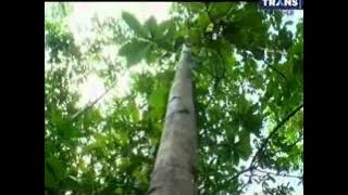 Si Bolang Bocah Petualang - 17 Februari 2015 - Belajar Di Alam Matano Full