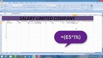 Salary Sheet Limited Company For Microsoft excel with advance formula