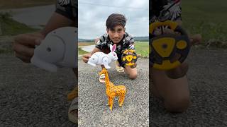 Remote Control 2 Ta khargosh And Rc Giraffe Ki Unboxing Desi