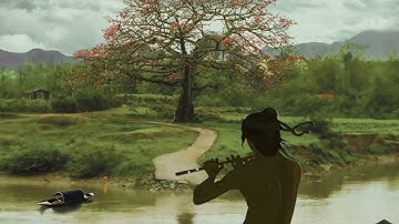 Tình Sử Trương Chi - Hồ Minh Đương ( Audio )