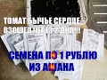 Семена из Ашана по 1 рублю.Всходы через 2 дня. Томат Бычье сердце.