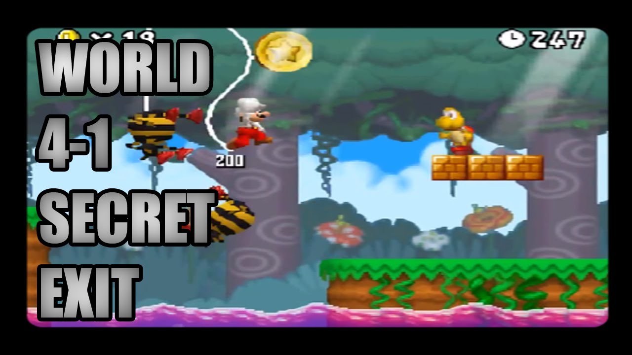 new super mario bros ds world 4