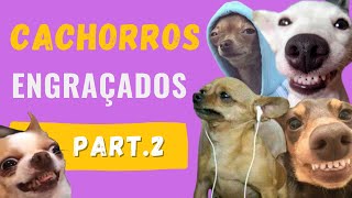 Cachorros Engraçados/parte 2- Pets Funny