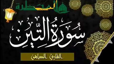 095 سورة التين للقارئ الموريتاني - سالم ولد محمد الأمين الملقب الداهن