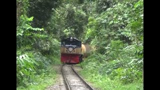 Train Simulator - The Story of Forest Rail Route screenshot 3