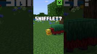 Ask Mojang – How Did The Sniffer Get Its Name?