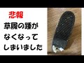 草履のかかとは突然なくなることがあります。