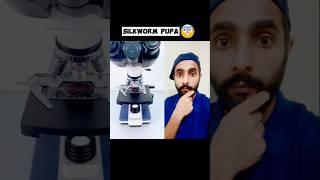 Silkworm under the microscope😲 #microscopeview #experiment #science #shorts