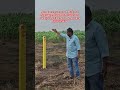 Best investment open plots for sake in paritala kanchikacherla amaravathi 6303035939