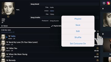 04  Activating the shuffle mode