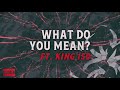 Krizz Kaliko - What Do You Mean Ft. King Iso | OFFICIAL AUDIO