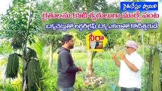 RaituNestham | రైతులను కోటీశ్వరులుగా మార్చే పంట, ఒక్కచెట్టు పెంచిన లగ్జరీలైఫ్, ఒక ఎకరాతో కోటీశ్వరుడే