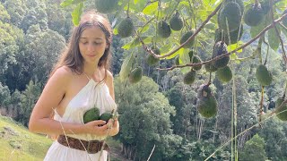 Magical Days of Autumn: Routines of a Slow Life in the Australian ...