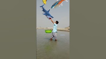 Colorful Fishes catching vs fruit eating - Funny vfx magic video