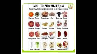 Здоровье и еда: Мы — то, что мы едим…/05.05.22