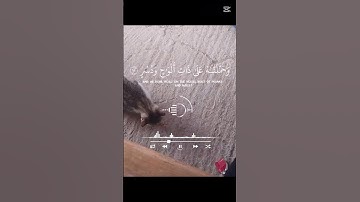 القران الكريم #تلاوة_مؤثرة #القران_الكريم_راحه_نفسية #دعمكم_وتشجيعكم_يهمني #ليك_تفعيل_جرس_تعليق_