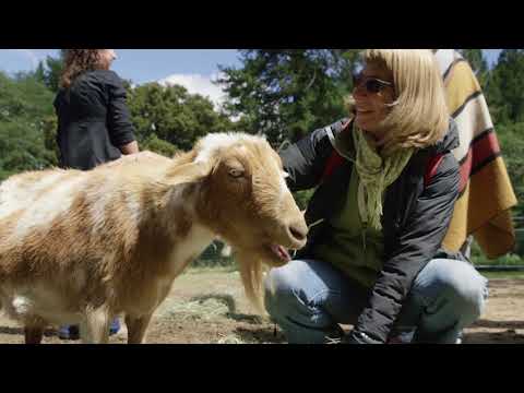 People, Animals & the Earth: Better Together