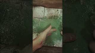 Green Love Yeşil Aşk