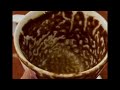 Cancer A New Beginning Starts Today Coffee Cup Reading