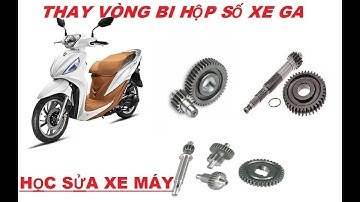 Thay Vòng Bi Hộp Số Xe Tay Ga | Replace Gearbox Bearings Scooter