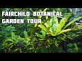 Fairchild Botanical Garden Tour ( Dec 2022 )